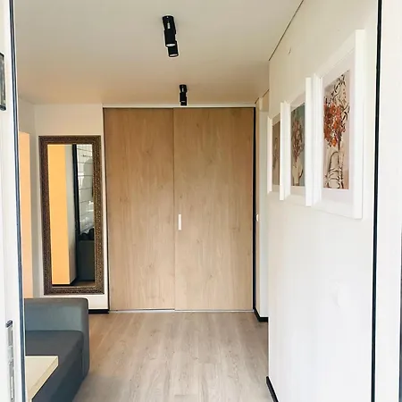 Modern & Cozy Gem - Spacious Retreat With Private Entrance *