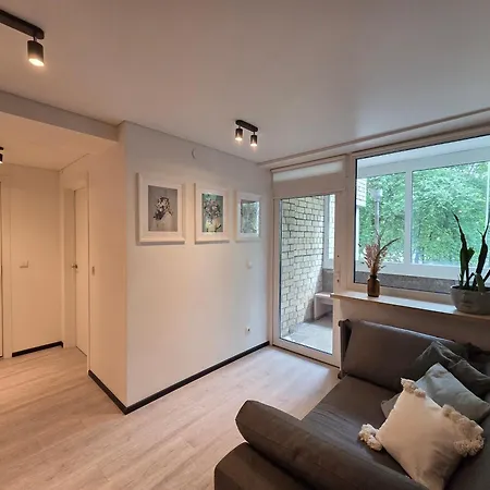 Modern & Cozy Gem - Spacious Retreat With Private Entrance *