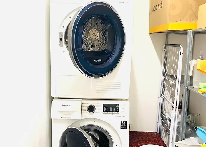 Modern & Cozy Gem - Spacious Retreat With Private Entrance *