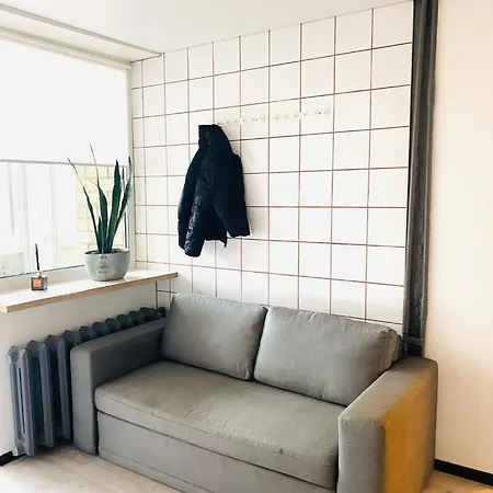 公寓 Modern & Cozy Gem - Spacious Retreat With Private Entrance 维尔纽斯